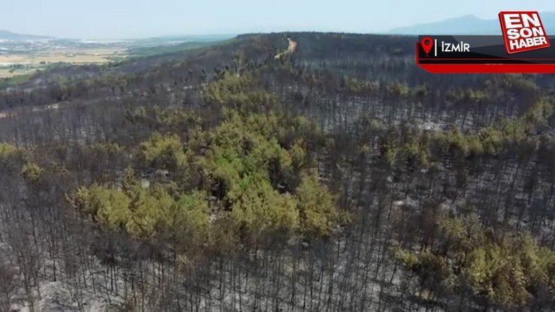 Menderes'teki yanan bölge havadan görüntülendi
