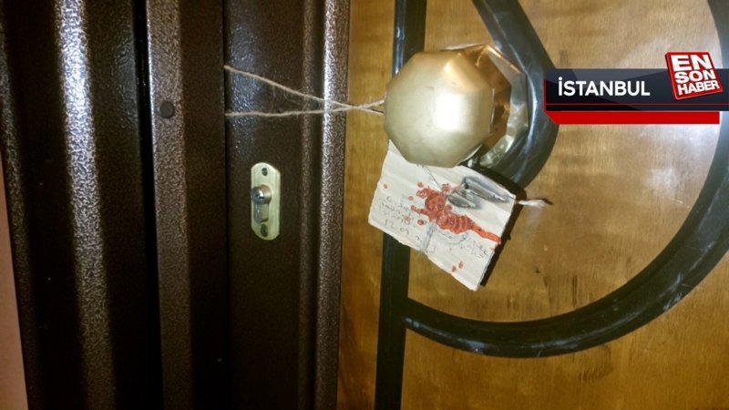 İstanbul'da kan donduran cinayet: Dondurucudan ceset parçaları çıktı