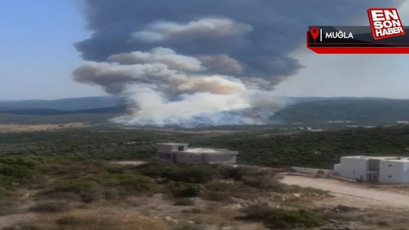 Muğla'da orman yangını çıktı