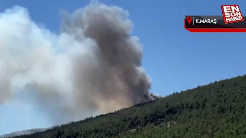 Ahir dağında orman yangını: Ekipler müdahaleye başladı