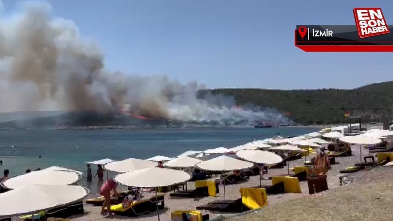 İzmir'de makilik alan alevlere teslim oldu