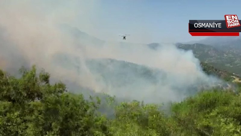 Osmaniye'de orman yangını çıktı