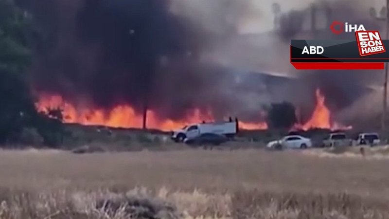 California’da orman yangını: 3 bin 400 hektar alan yandı