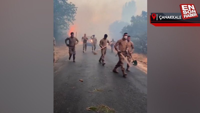 Çanakkale'de Mehmetçik'ten yangın söndürme çalışmalarına destek