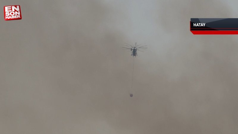 Hatay'da yerleşim yerine yakın orman yangını