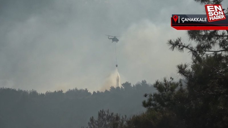 Çanakkale'de orman yangınına 3'üncü günde müdahale sürüyor