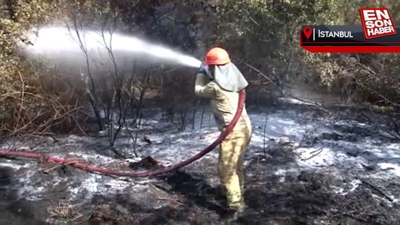 İstanbul Kemerburgaz'da orman yangını