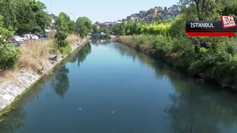 İstanbul'daki bazı dereler Boğaz'ı ve Marmara Denizi'ni kirletiyor
