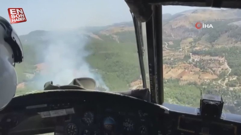 Muğla Milas'ta orman yangını çıktı