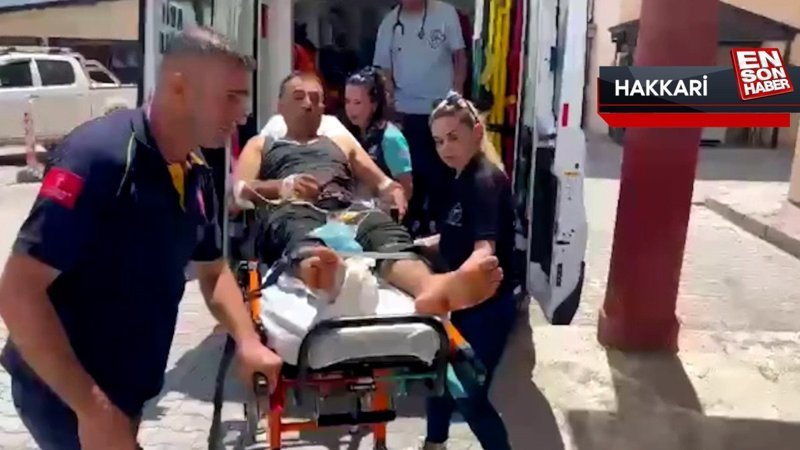Hakkari'de yılanın ısırdığı kişi ambulans helikopterle hastaneye ulaştırıldı