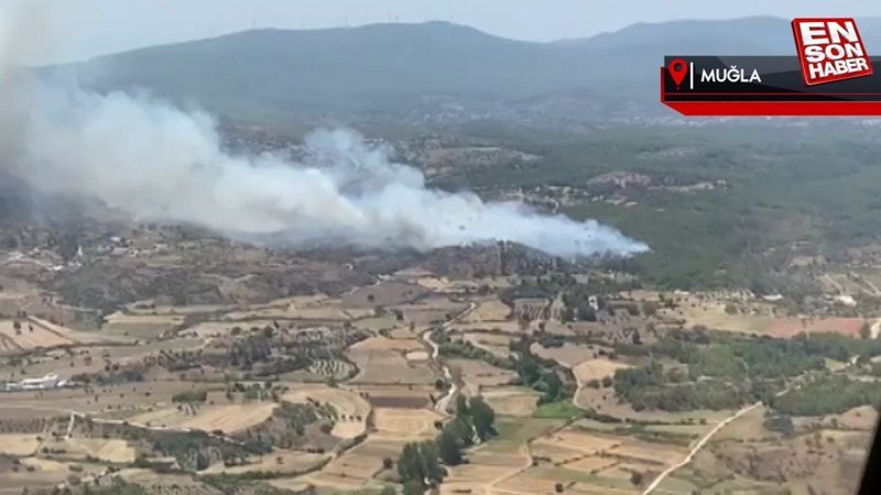 Muğla'nın Milas ilçesinde orman yangını çıktı
