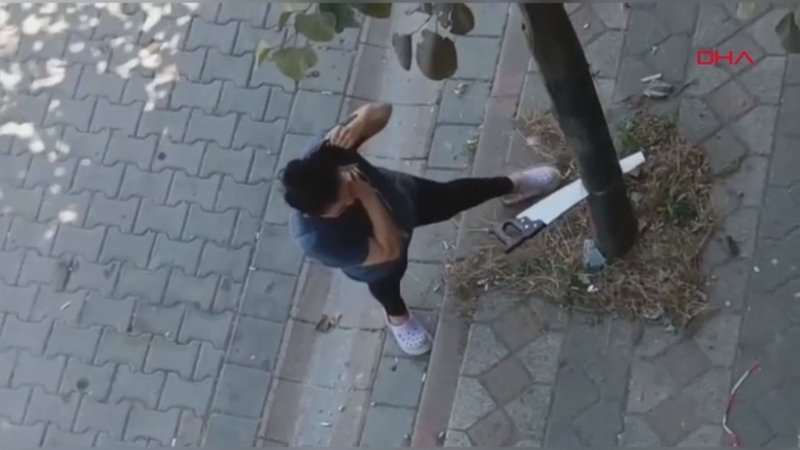 Sultangazi'de testereyle ağaç kesen kadın olay yerine gelen ekiplere tepki gösterdi