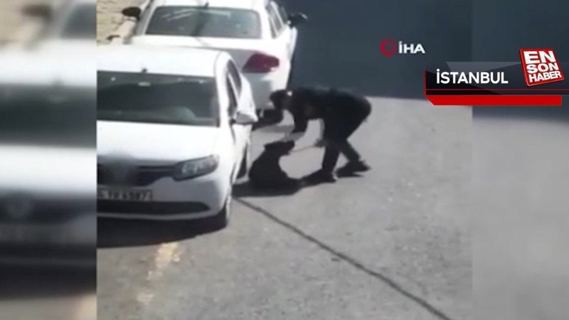 Beşiktaş’ta köpeği tekme ve tokatlarla darbetti