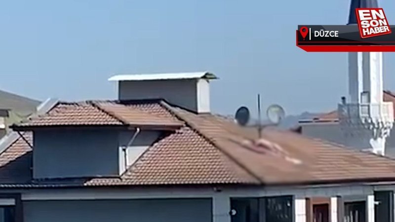 Düzce'de çıktığı çatıda çırılçıplak güneşlendi