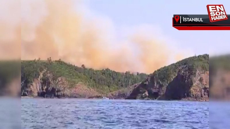 Beykoz’da ormanlık alanda yangın çıktı