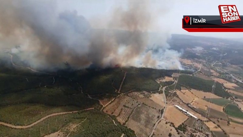 İzmir'de iki farklı noktada orman yangını