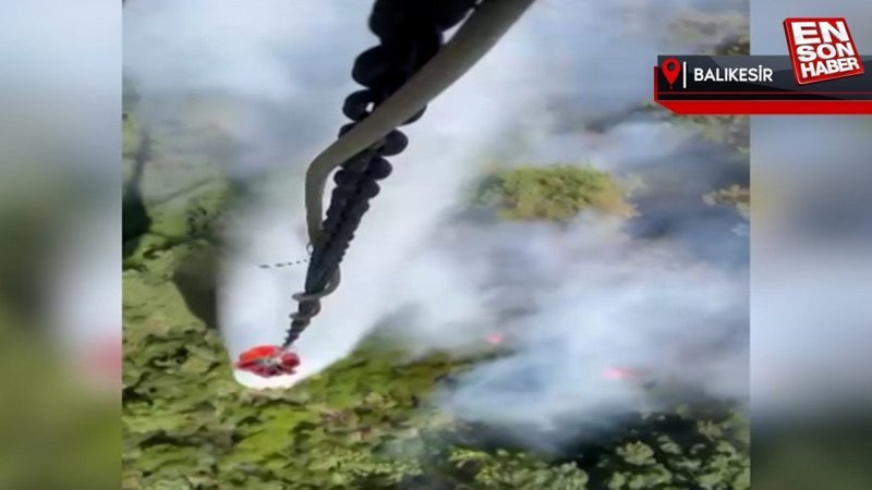 Balıkesir'de orman yangını