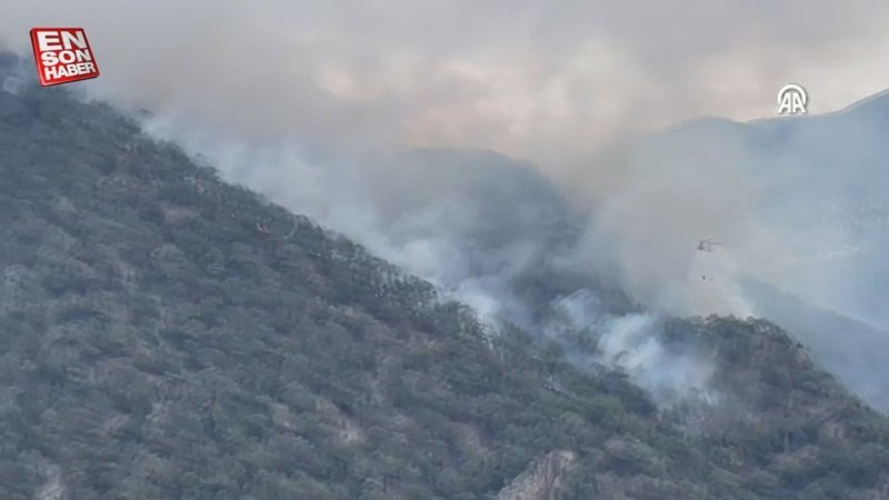 Bolu'da yıldırım düşmesi sonucu çıkan yangınla mücadele sürüyor