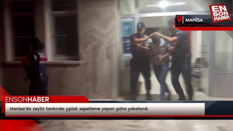 Manisa'da zeytin tankında çıplak sepetleme yapan şahıs yakalandı