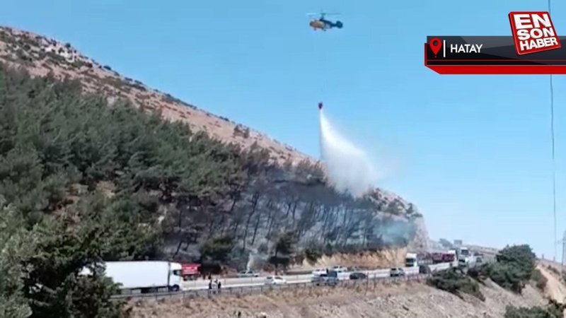 Hatay'daki orman yangını ekiplerin müdahalesi ile söndürüldü