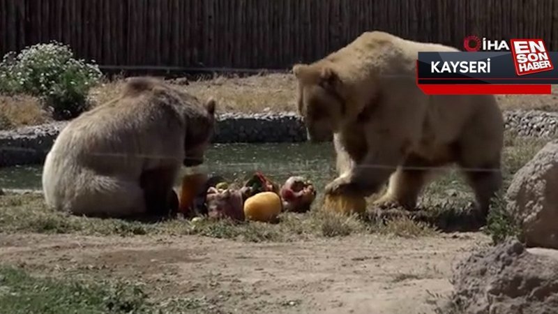 Hayvanat bahçesinde buzlu meyve kokteyli ile serinlediler