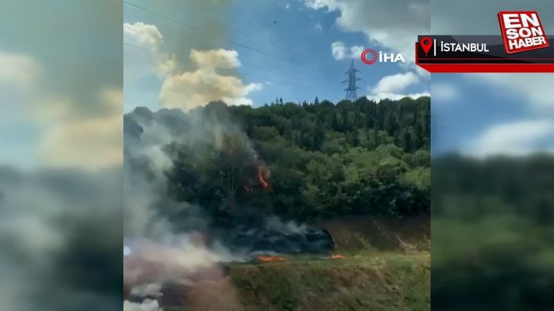 Kağıthane'de orman yangını