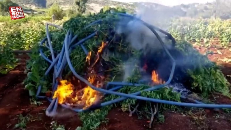 Lice kırsalında narkoterör operasyonu gerçekleştirildi