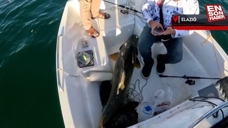 Keban Barajı'nda balık avı: 1.57'lik Fırat turnası yakaladılar