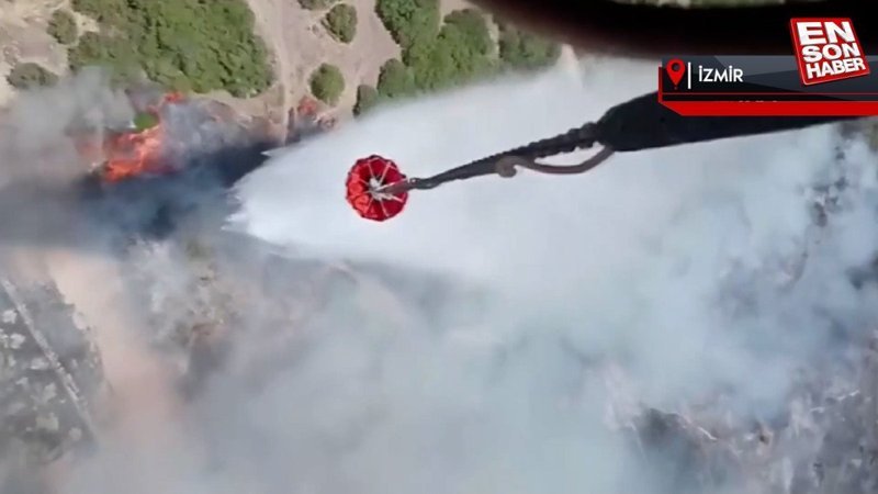 Menemen’de orman yangını