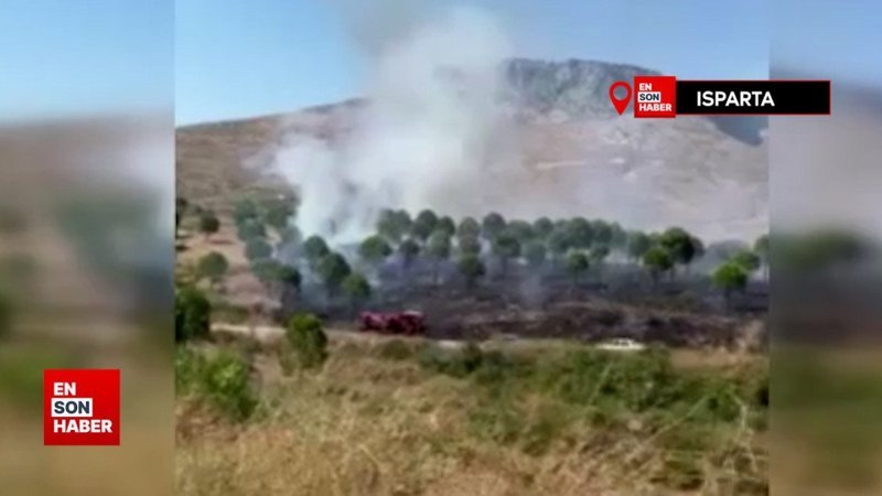 Isparta’da otluk alanda yangın