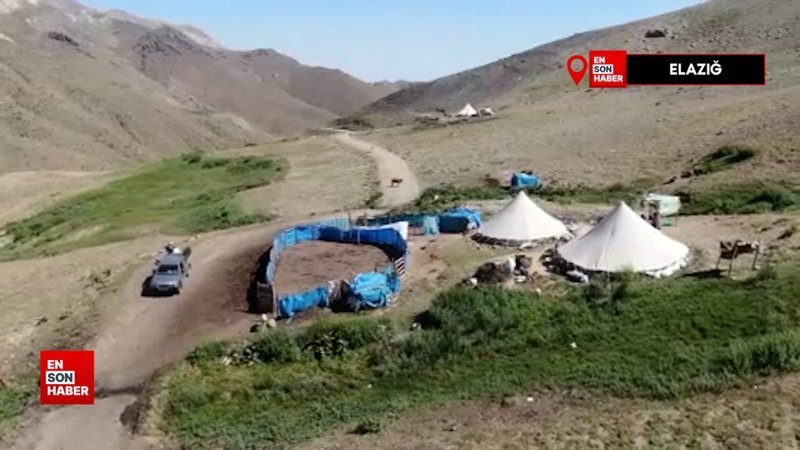 Elazığ'da 2 bin 500 rakımda ekmek mücadelesi