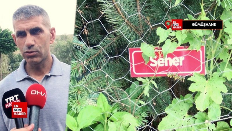 Gümüşhane'de vefat eden her köy kadını için fidan dikip, isimlerini yaşatıyor