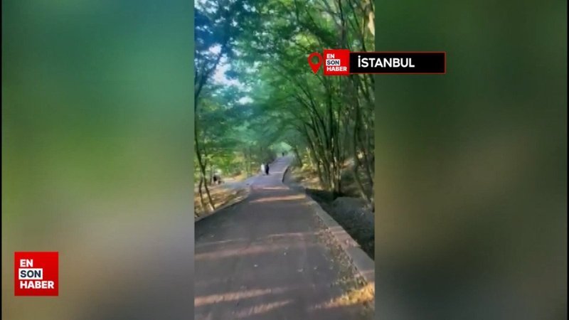 İstanbul Eyüpsultan’da görüntülenmişti, silahı oyuncak çıktı
