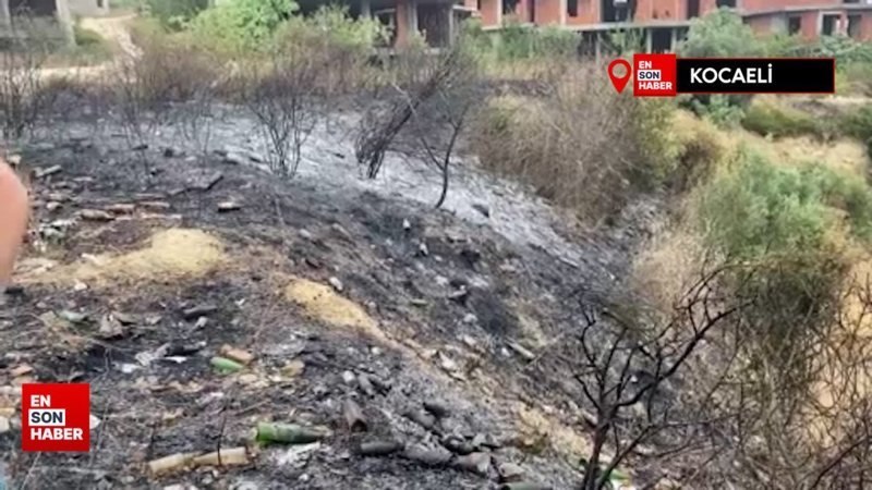 Kocaeli'de bir kişi, otluk alanı yakarak kaçtı