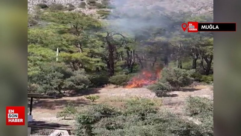 Milas yangınında sabotaj şüphesi: Yangının çıkış anı amatör kamerada