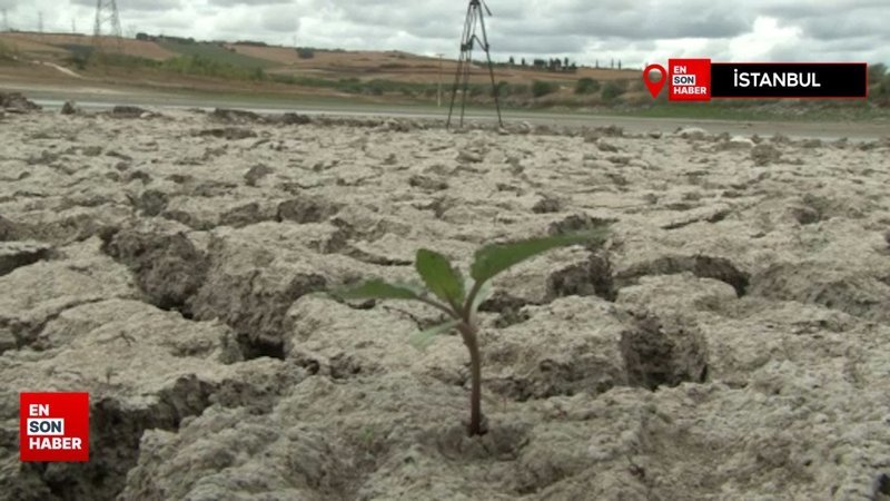 Sazlıbosna Barajı alarm veriyor, kuruma noktasına geldi