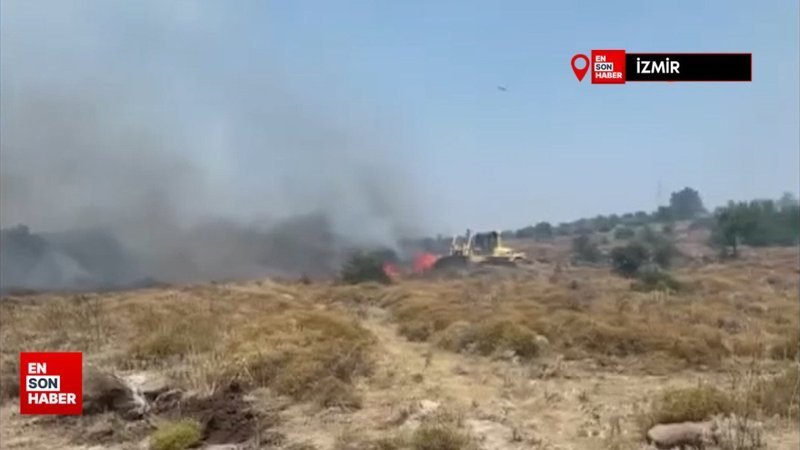 İzmir'de makilik alanda yangın