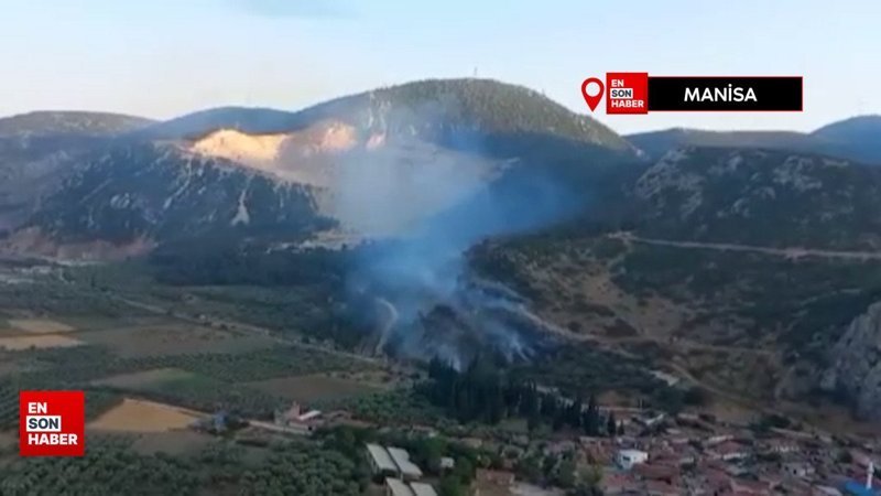 Manisa'da orman yangını bir saatte kontrol altına aldı