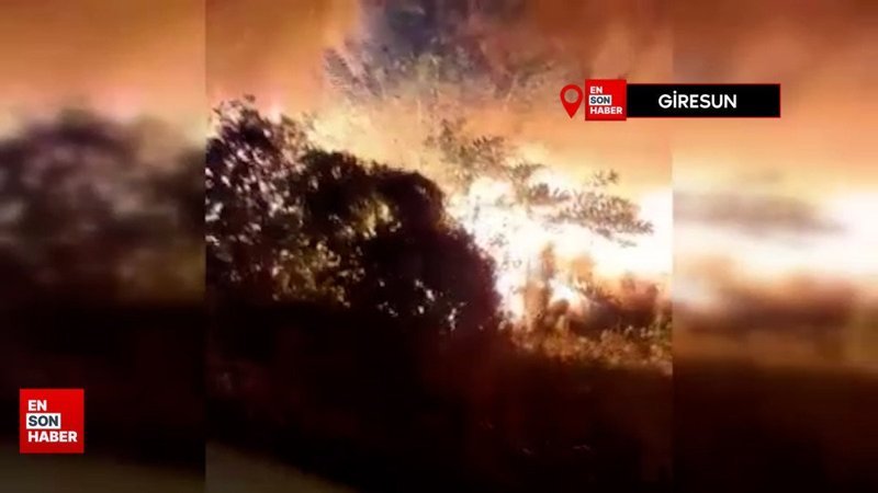 Giresun’da 8 bungalov ev ve restoran kundaklandı