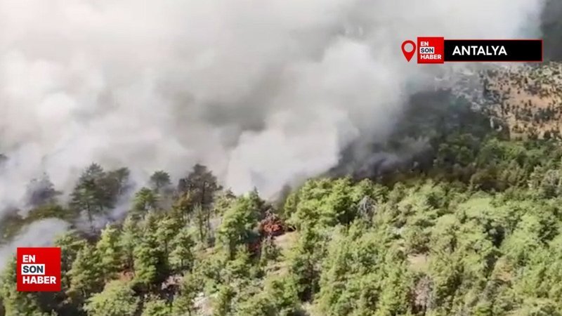 Antalya’da orman yangını