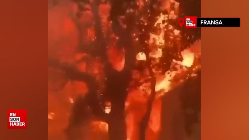 Fransa'da 500 hektar alan, çıkan yangında küle döndü