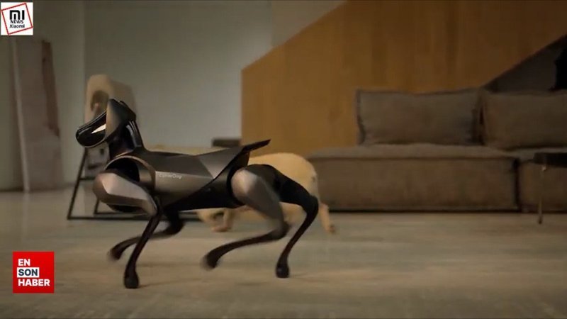 Xiaomi CyberDog 2 tanıtıldı