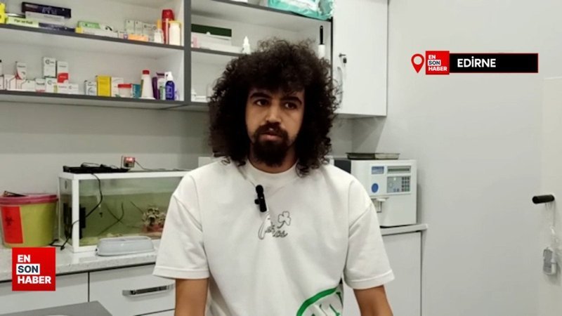 İstanbul'da kaybolan köpek, bir hafta sonra Edirne'de bulundu