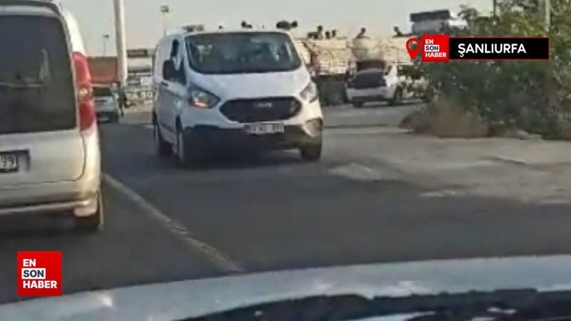 Şanlıurfa'da durdurulan kamyondaki kaçak göçmenler fıstık bahçelerine kaçtı