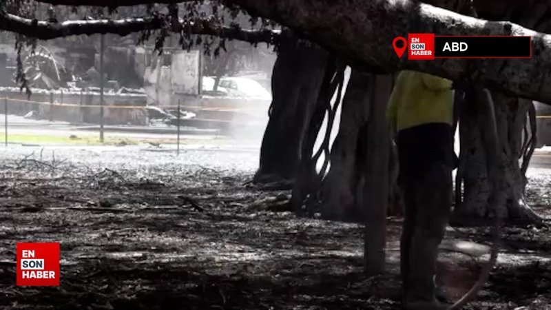 Hawaii'de yangın felaketi