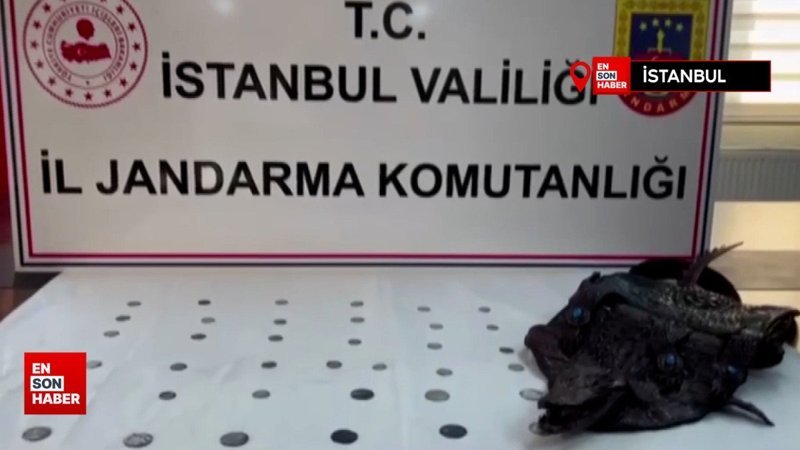 İstanbul'da jandarmadan tarihi eser kaçakçılarına operasyon