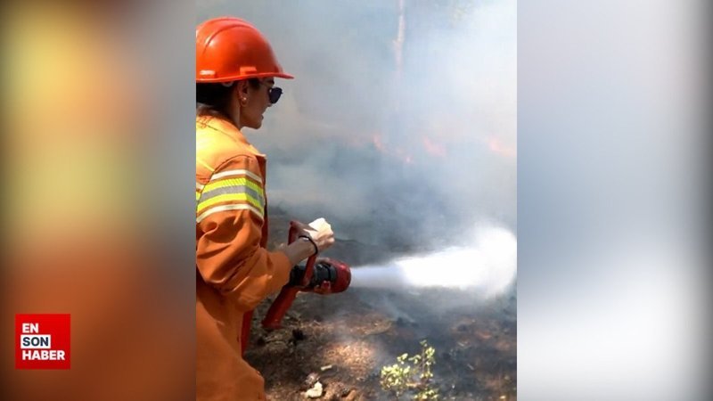 Orman yangınlarıyla mücadelede gönüllü sayısı 118 bine ulaştı