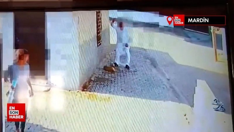 Mardin'de yavru köpeği demir çubukla öldürdü