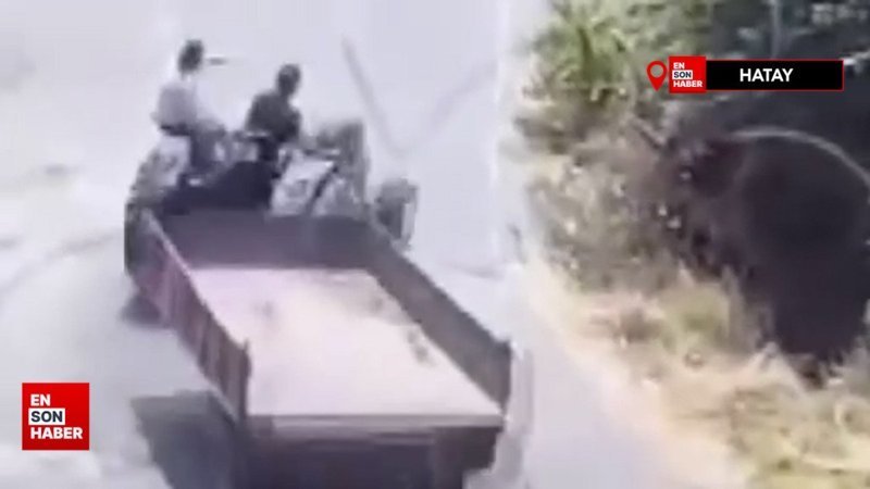 Hatay'da düştüğü traktörün altında kaldı