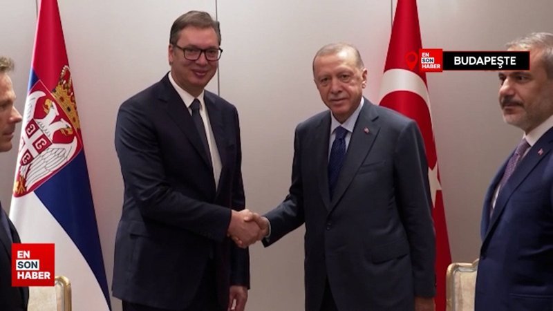 Cumhurbaşkanı Erdoğan, Sırbistan Cumhurbaşkanı Vucic ile görüştü